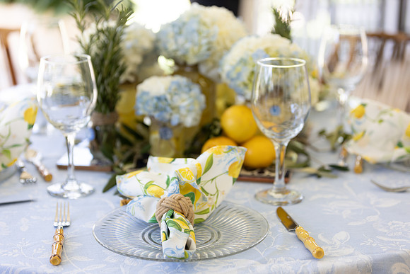Lily-3674