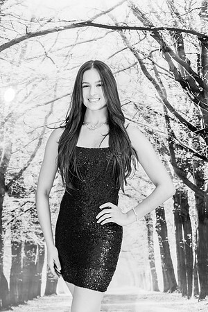 hoco-18