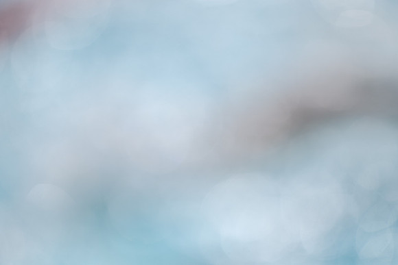 JCE_0309