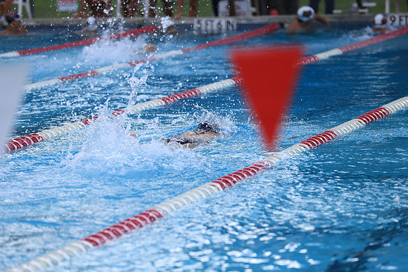 JCE_0377