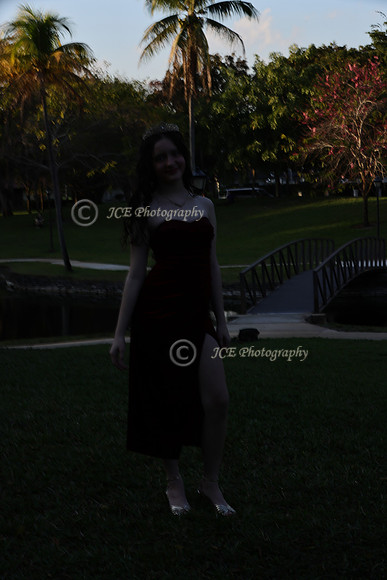JCE_1176