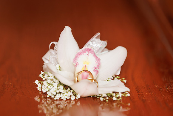 wedding-1570