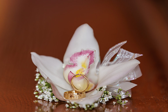 wedding-1572