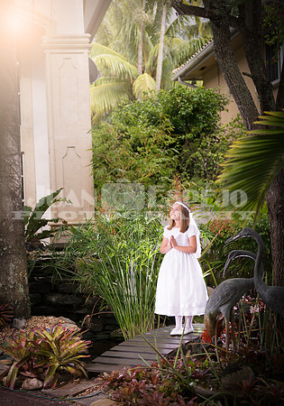 JCE_IMG_0078sun