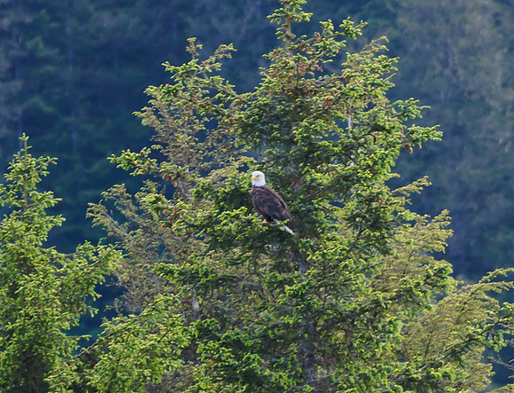 alaska-2024--0553