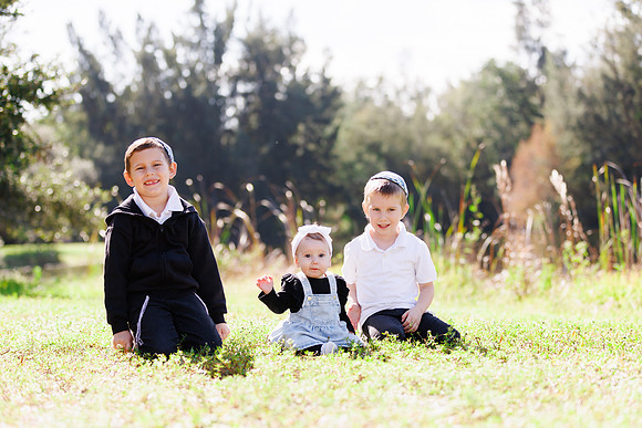 family-2490