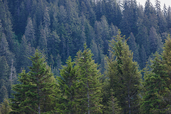 alaska-2024--0552