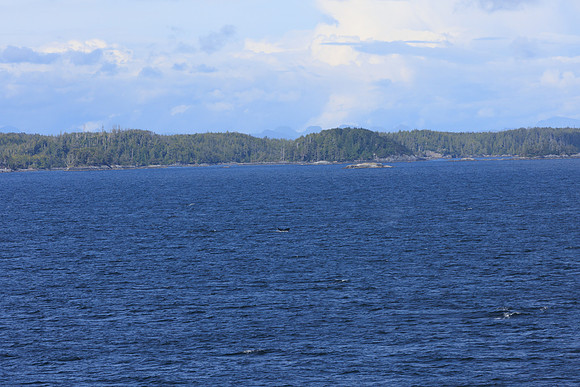 Alaska2024-1104